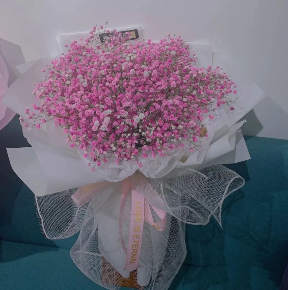 满天星加草莓花语(满天星加玫瑰是什么意思)