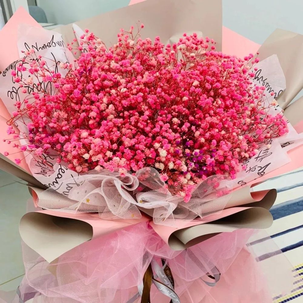 满天星的花语(满天星的花语满天星辰不及你)