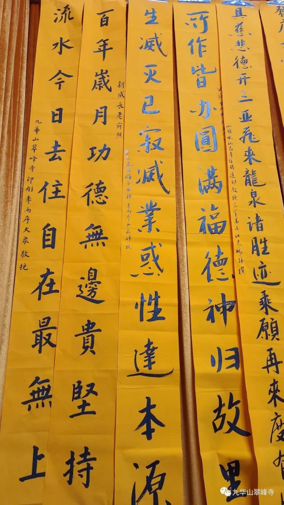 风动幡动你安我静沉痛悼念上新下成长老示寂