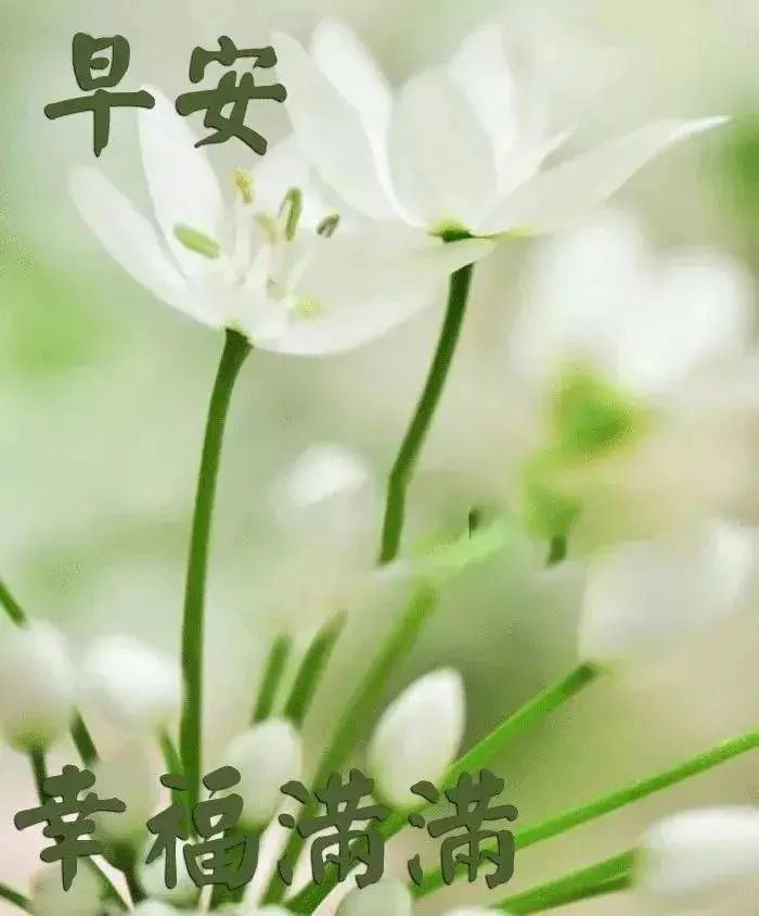 中老年表情包 无限的祝福 有你真好 腾讯新闻