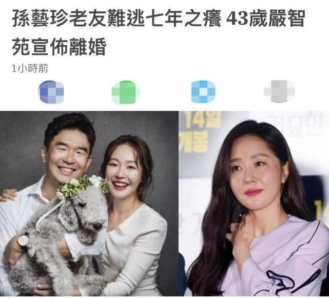 难逃七年之痒已分隔两地!|严智苑|离婚|吴英旭