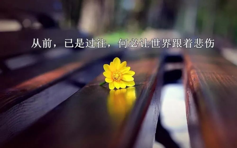 很走心的一句话人生哲理经典说说,朋友圈感悟人生的经典短语