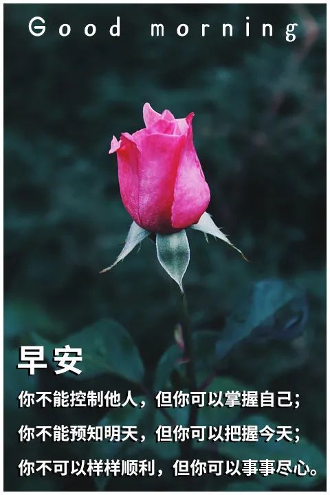 早安你好一句话早安心语最新句子分享