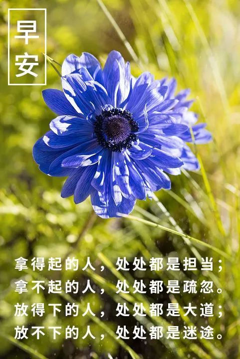 早安你好一句话早安心语最新句子分享