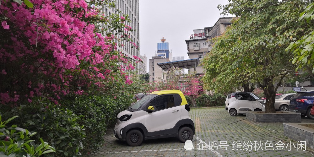 看到柳州小e這麼多來柳遊玩的外地親戚表示非常羨慕