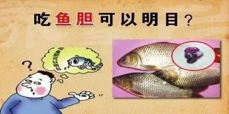 到家後他小心地取出魚膽,用水吞了下去.