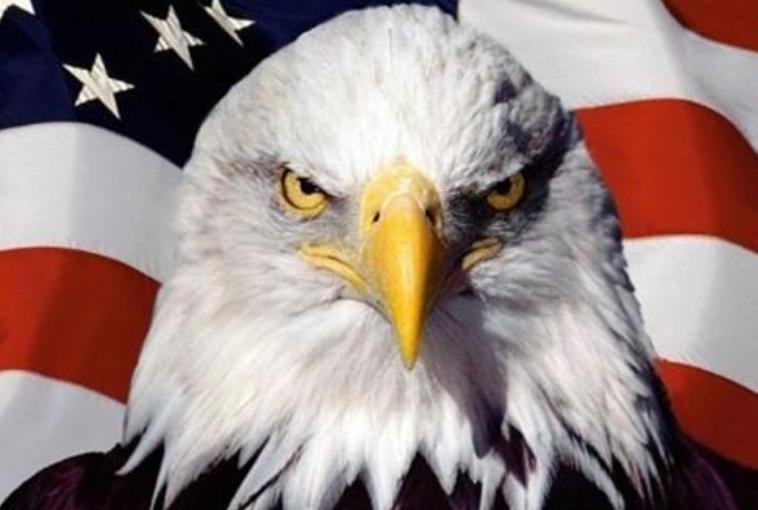 日本的国鸟是绿雉 美国的是鹰 我国的是什么你可能不知道 腾讯新闻