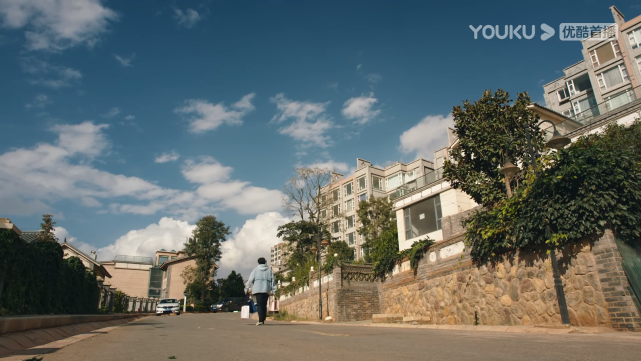 秦放的别墅有多豪坐落半山腰花园成自然缺点是外人长驱入