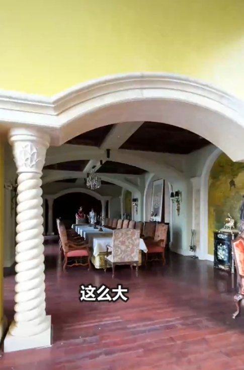 疑似姚安娜豪宅曝光称5亿价格很亲民网友为啥还要进演艺圈