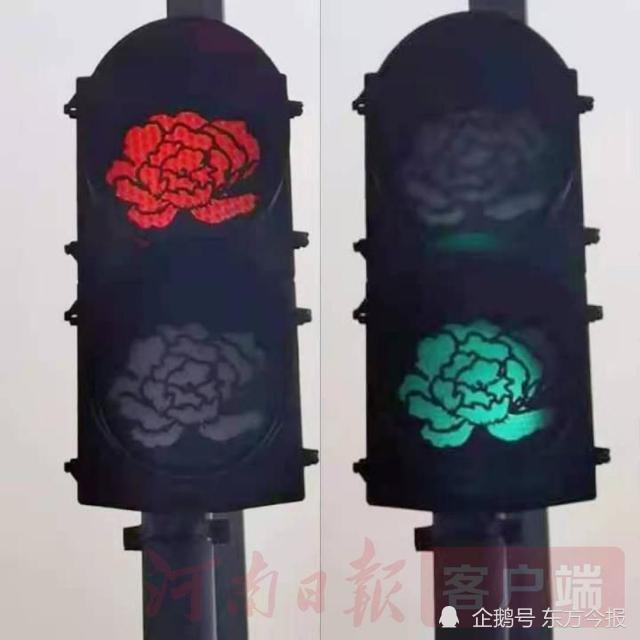 惊喜洛阳部分红绿灯变牡丹花