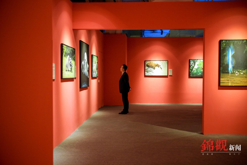 在成都看世界名作2021年国家地理西南首展来了