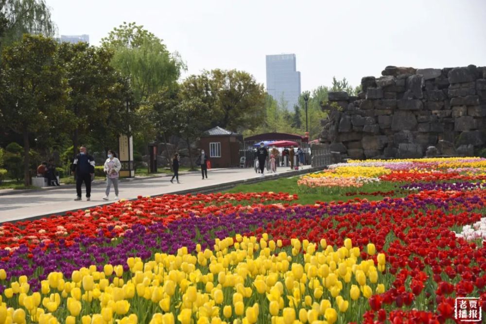 驚豔了!隋唐城遺址植物園