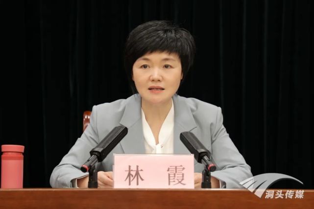 队伍教育整顿查纠整改环节部署会:真查纠 真整改 见成效|教育|林霞