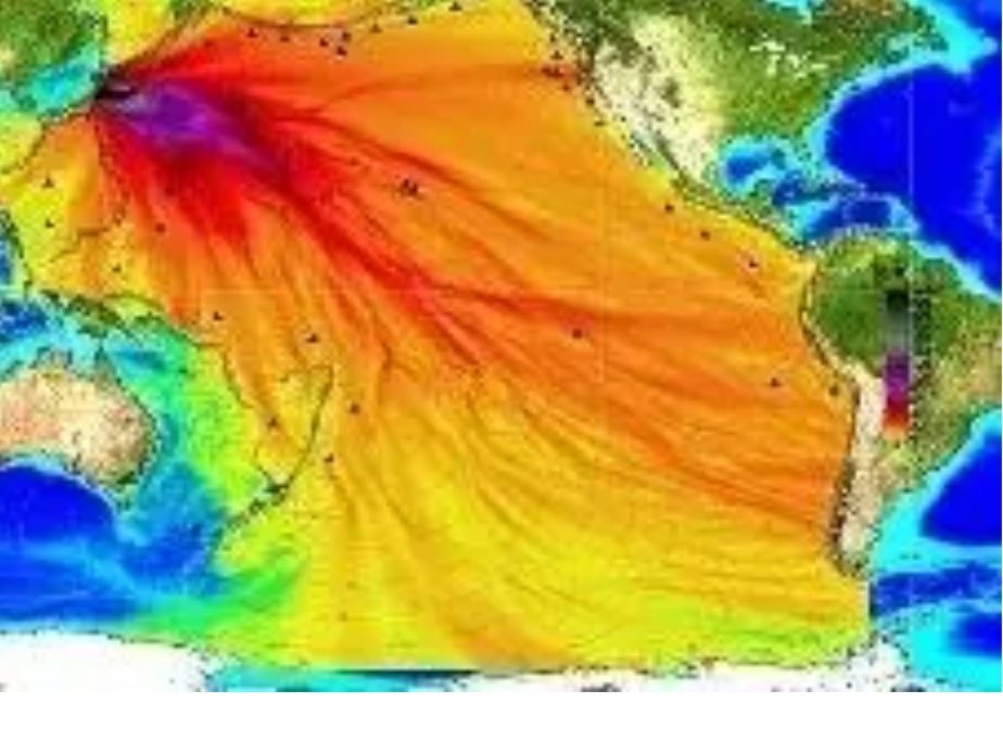 转载反对日本政府将把福岛核电站的冷却污水排入大海
