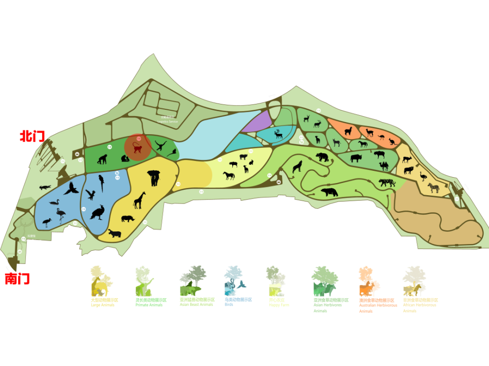 太原动物园环尾狐猴宝宝满月啦,可爱爆棚!