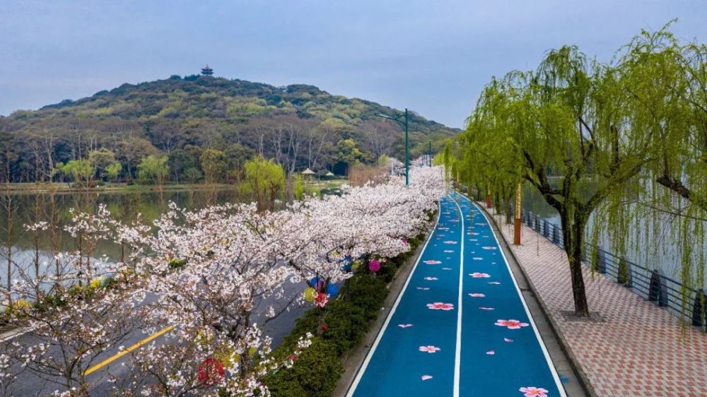 蓝色新跑道明天首秀