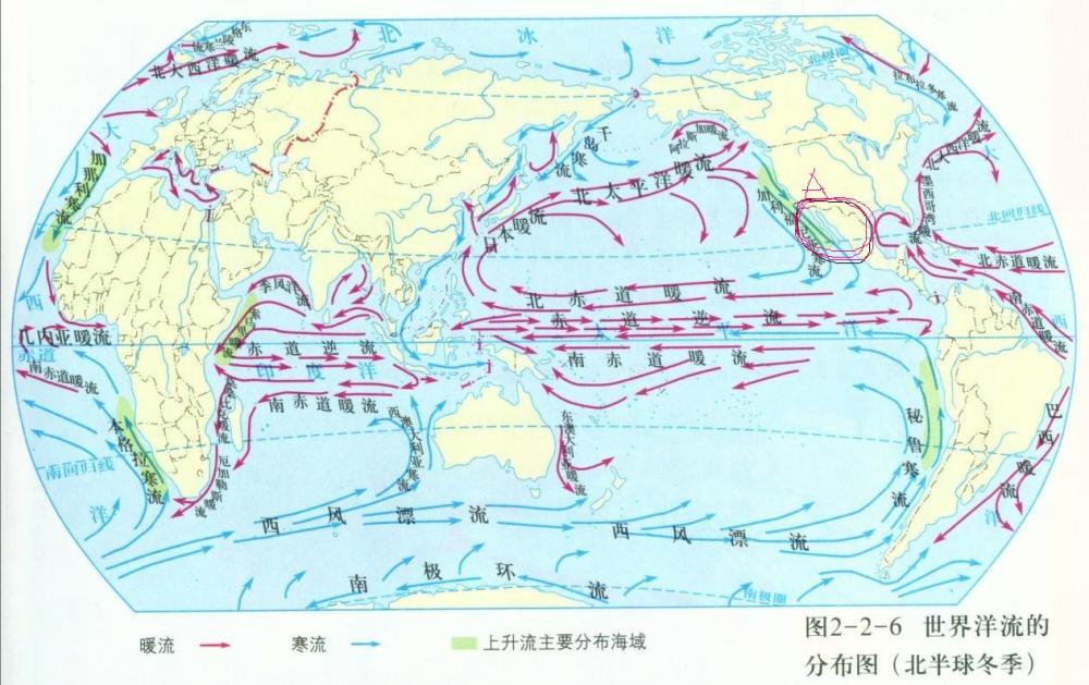 日本核污水倒入太平洋,全球海鲜安全难保障,首当其冲是哪个国家