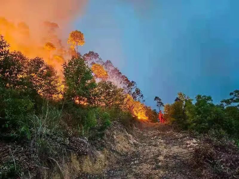 刑拘来宾一男子清明祭祖烧山170余