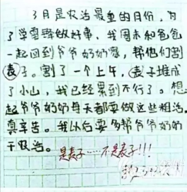 小学生搞笑作文让语文老师哭笑不得啊