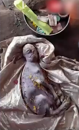 印度惊现有人脸特征的山羊宝宝当地村民认为是祖先重生