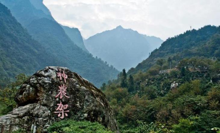 神農架深處,為何被列為禁區?只因一神秘現象