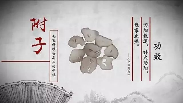 一味中成药里的"纯爷们儿",专治阳气不足|附子|张仲景|虚寒|附子理中