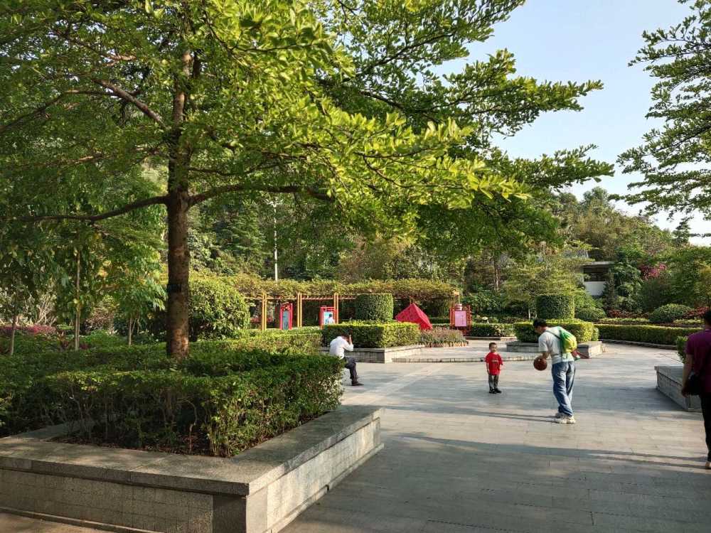 平峦山(平峦山公园在哪里)
