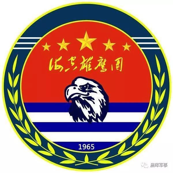 中国海军航空兵标志图片
