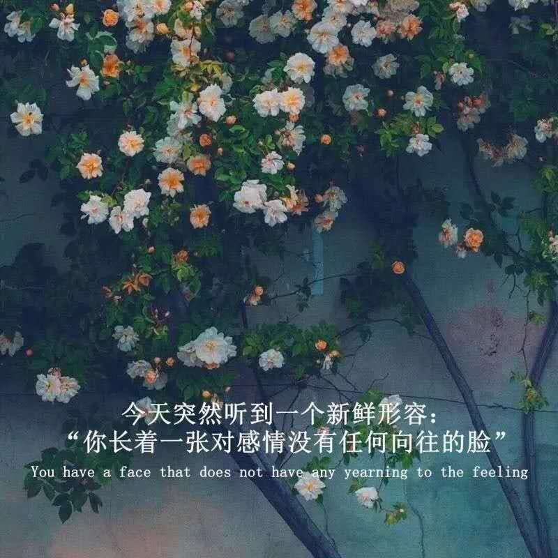 【文案館】我一直很清醒,清醒地看著自己的沉淪.