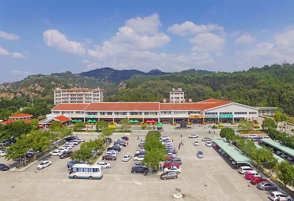 天福服务区以"服务区 旅游"的创新举措,拓宽服务区单一的经营慕式