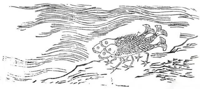 搞错了 传说中的美人鱼和鲛人不但不是同一种 而且区别很大 腾讯新闻