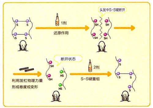 烫发真有危害吗?_腾讯新闻