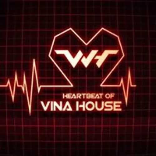 越南本土的vinahouse领域到底有没有流量dj