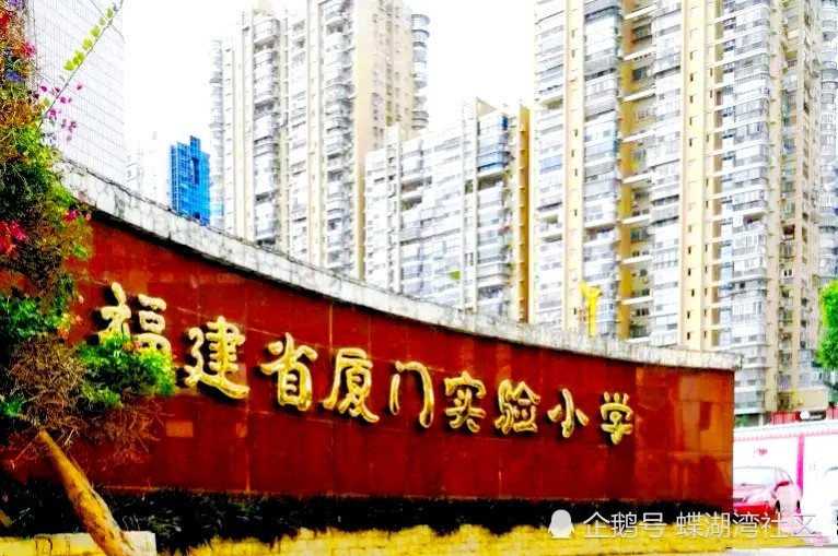 厦门小学排行榜_海沧区小学历史排行榜