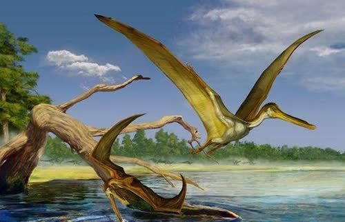 当时的北方联邦士兵还不知道什么是翼龙,只知道是一个大家从来都没