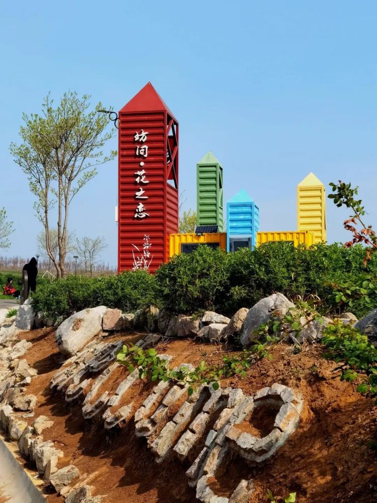 植物花卉安丘市齐鲁酒地郁金香花海
