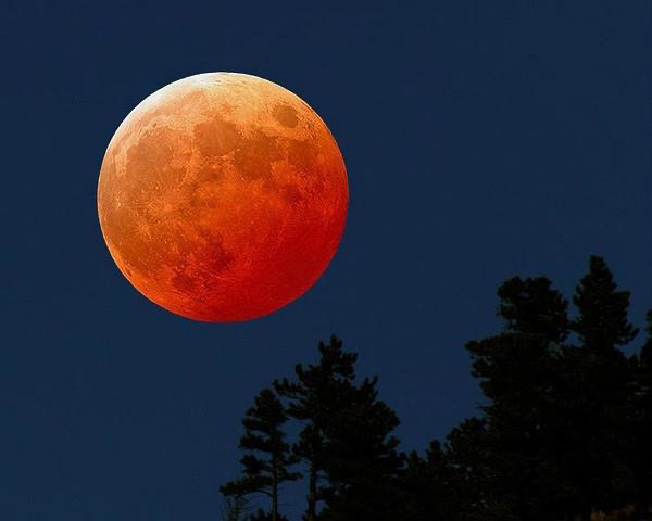 2,从红月开始,作者:黑山老鬼,评分:9.