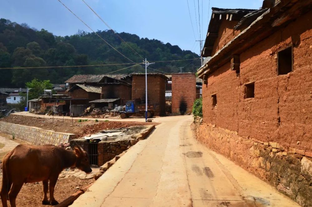 云南大山里的村庄村民过着悠闲生活有些老人一辈子没出过山