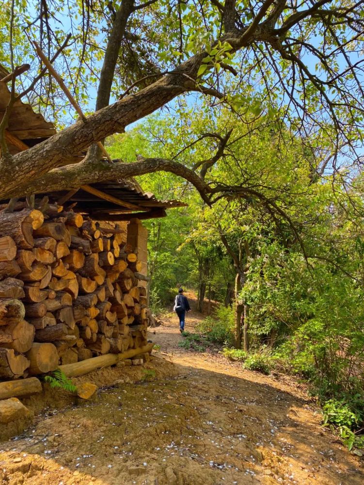 云南大山里的村庄村民过着悠闲生活有些老人一辈子没出过山