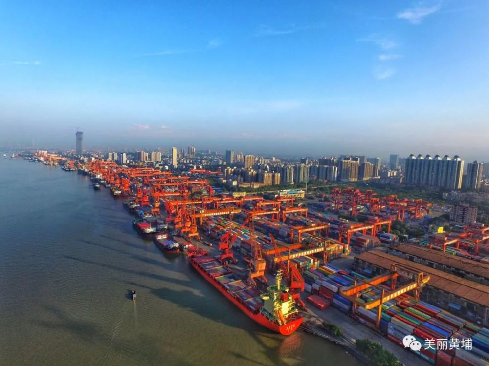 航拍黄埔老港,当年羊城八景之一