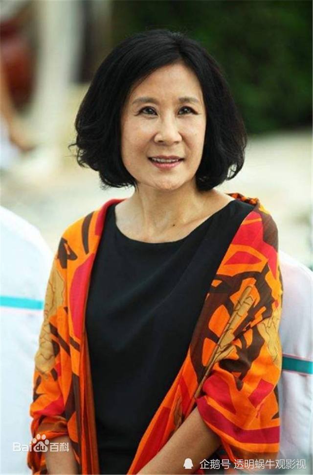 大宋宫词配角出彩昔日歌坛偶像苏小明演戏不输科班演员