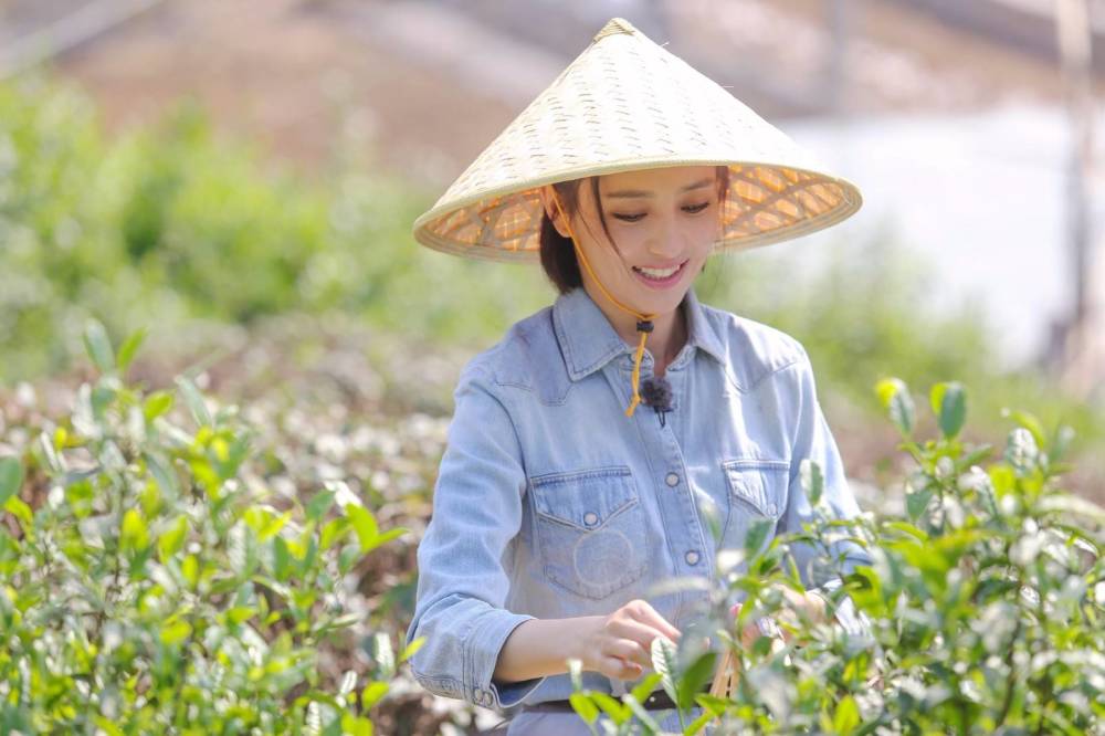 众女星采茶女形象,杨超越清纯动人,而另一位是美貌天花板