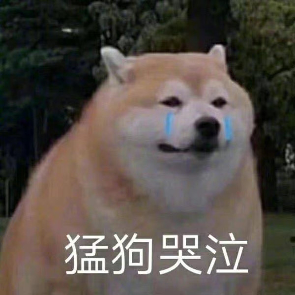 柴犬真是适合当表情包吖