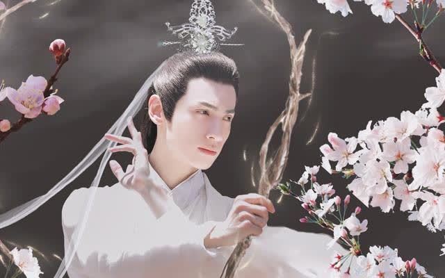 罗云熙《皓衣行》淡看三千碧水,晚宁硬扛破树枝