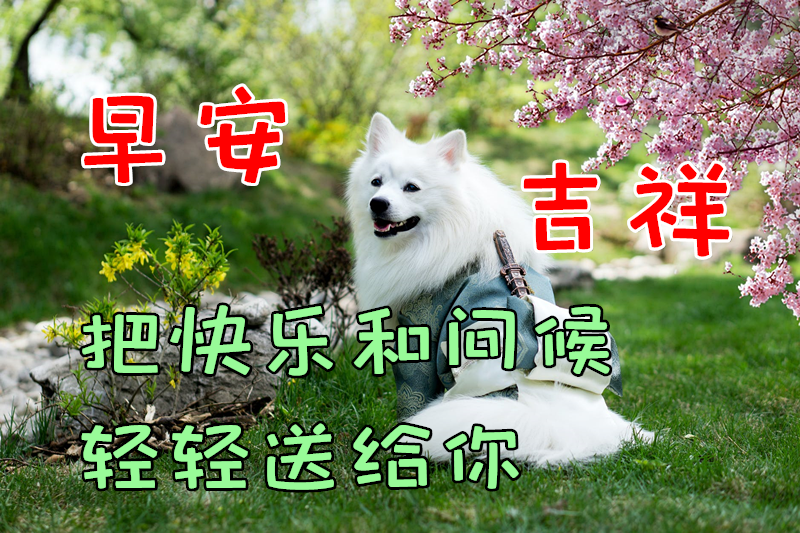 1月15日清晨早安心语正能量朋友圈语录 早上好正能量动态表情图片带字