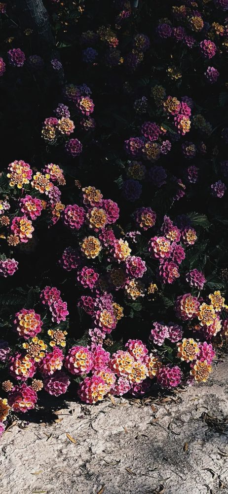 手机壁纸 不要承认失败 熬过夜晚才能看到太阳 腾讯新闻