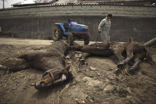 村民挖出国宝意外去世家人视为不祥之物卖回收站后被专家捡漏