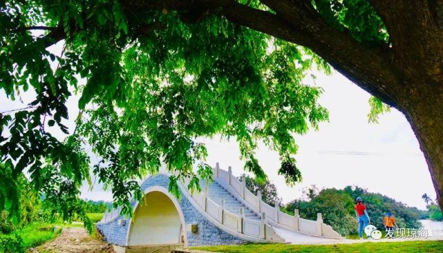 琼海再增一处新景点,博鳌九曲生态公园开园迎客!