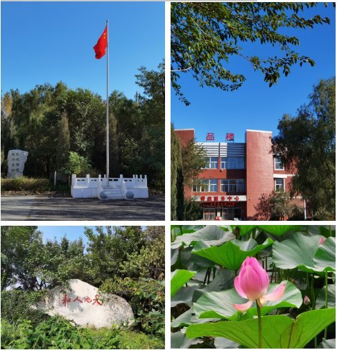 奋进中的沈阳市第五十六中学