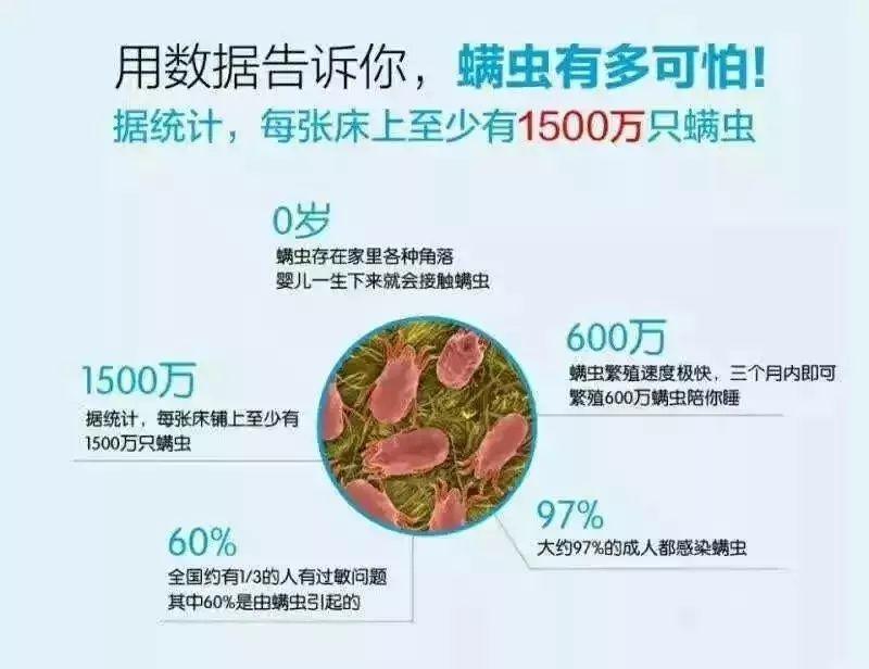 尘螨过敏的危害无处不在过敏性鼻炎其实是它在作怪